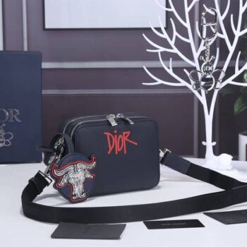 Dior Belt Bag 001